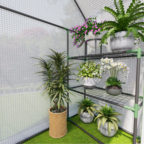 Benass greenhouse includes thermometer and hygrometer for monitoring environment