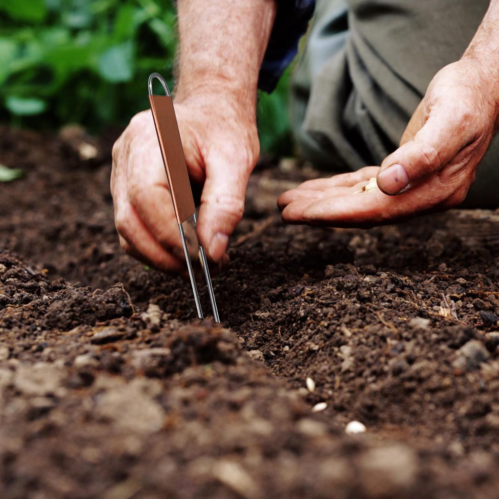 Bendical garden labels packaging idea for gifting or sharing seedlings.