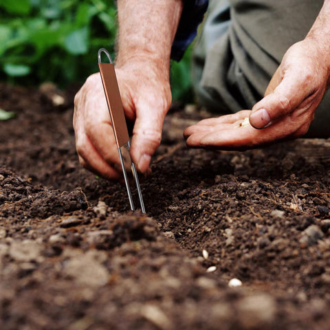 Bendical garden labels packaging idea for gifting or sharing seedlings.