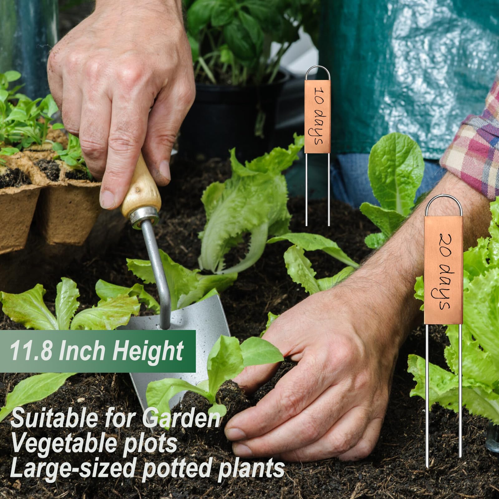 Bendical reusable plant labels for plants, easy re-marking season after season.
