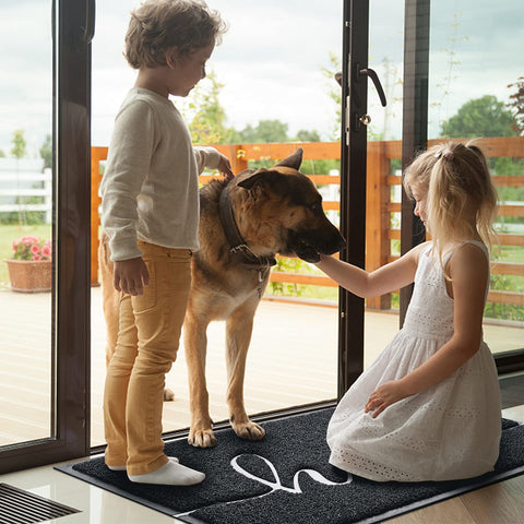 BeneathYourFeet door mat at patio entrance suits indoors and outdoors.
