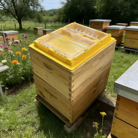 BenefitBee Bee Top Feeder anti-drowning inner wall keeps bees safe during feeding.