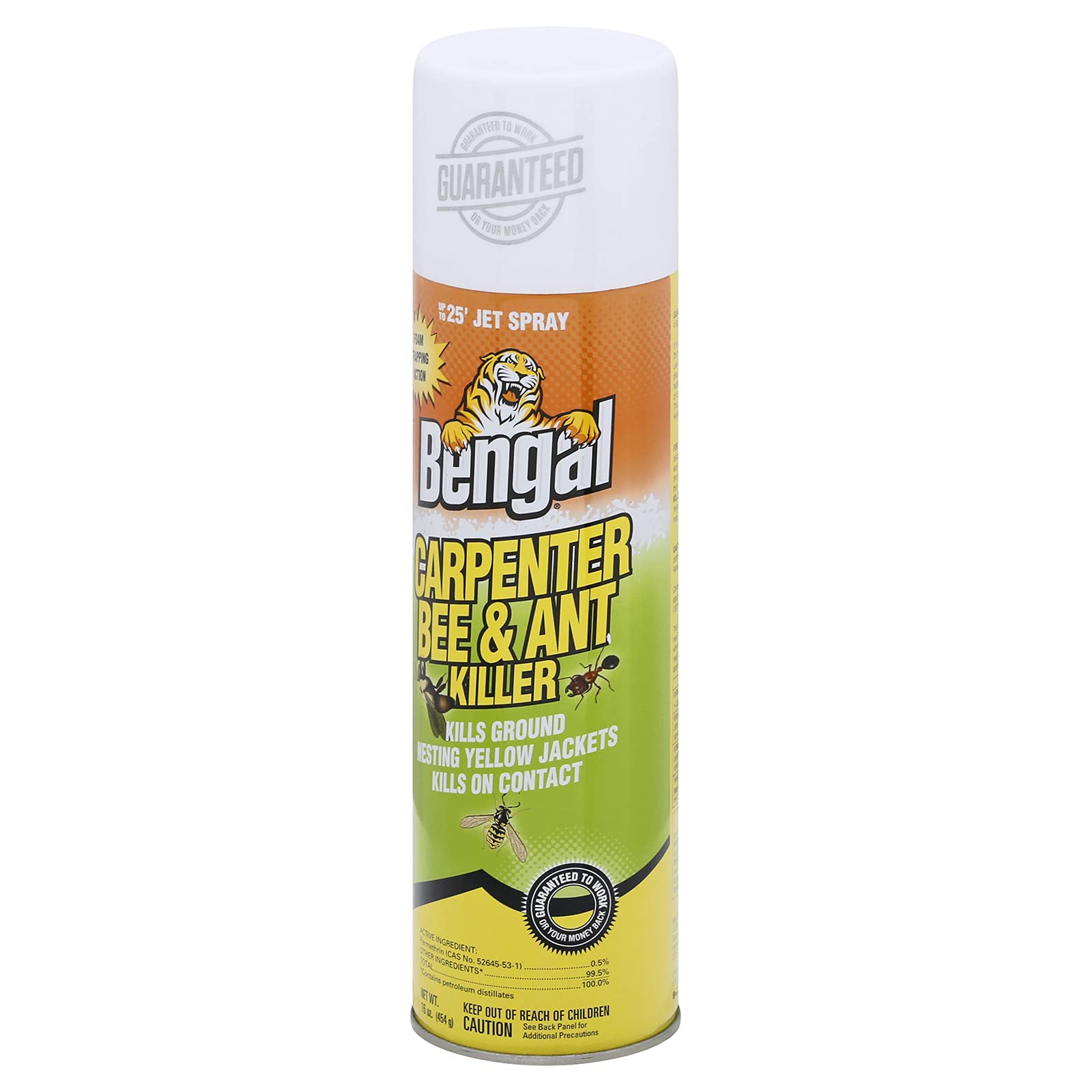 Bengal Carpenter Bee Killer spray action demonstrates easy application.