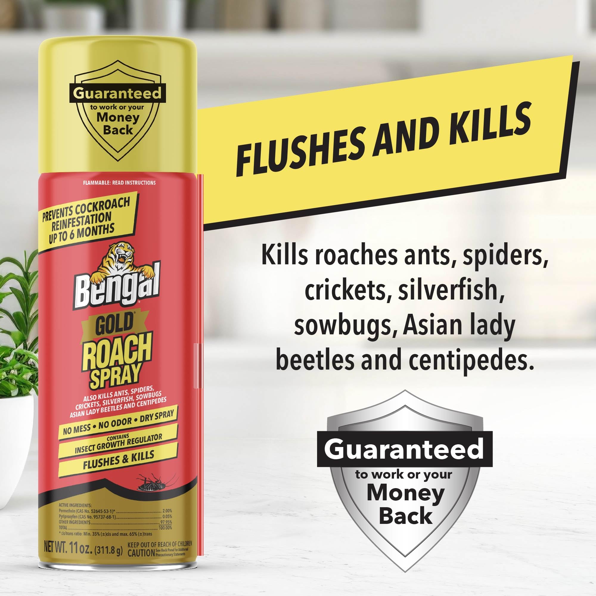 Bengal Gold Roach Spray nozzle detail for precise application.