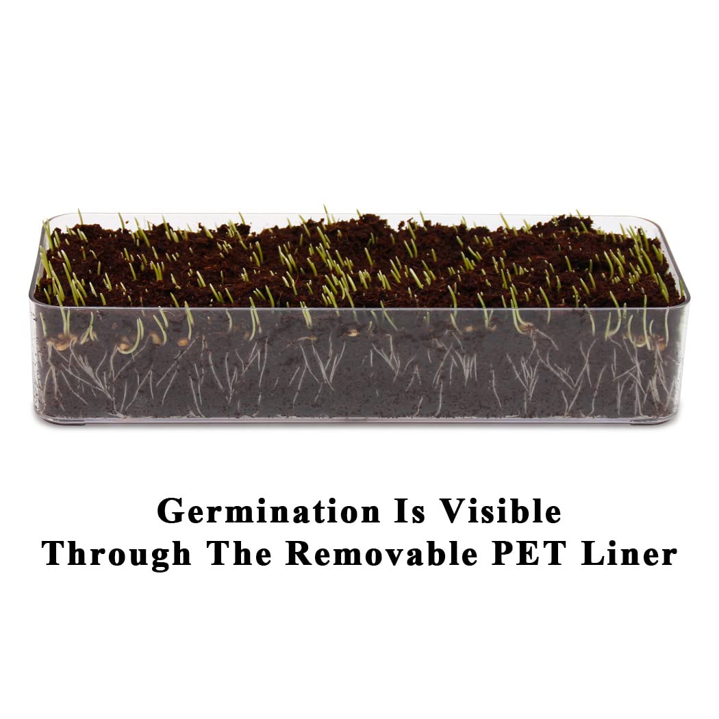 BENPIN transparent liner shows seed germination clearly.