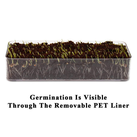 BENPIN transparent liner shows seed germination clearly.