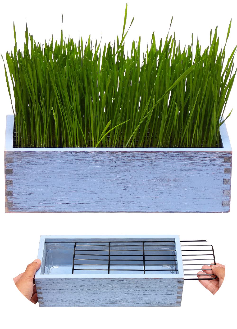 BENPIN wooden cat grass planter with dirt-proof grid for clean paws.