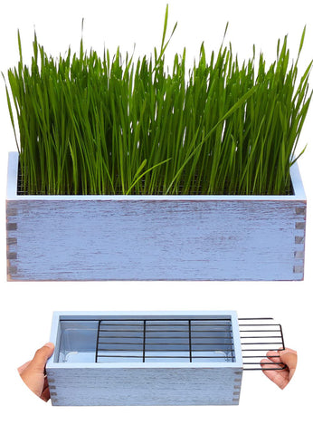 BENPIN wooden cat grass planter with dirt-proof grid for clean paws.