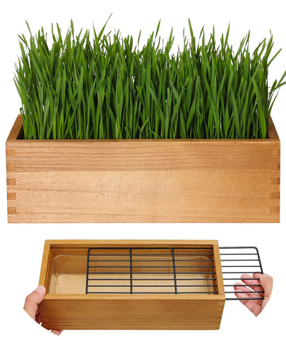 BENPIN wooden cat grass planter front view with aged yellow finish, fits windowsills.
