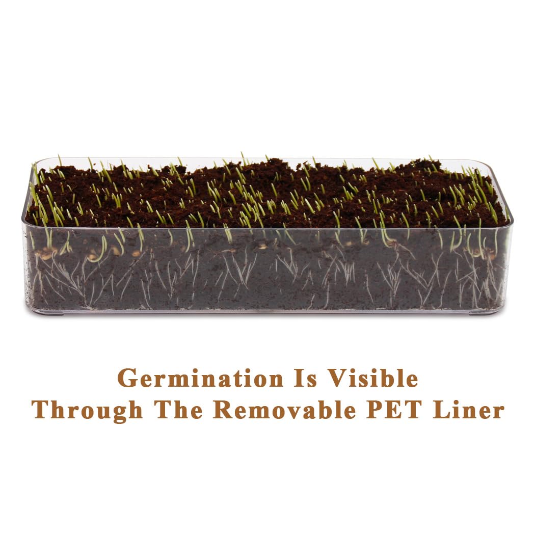 BENPIN wooden cat grass planter with potting soil disks for quick setup.