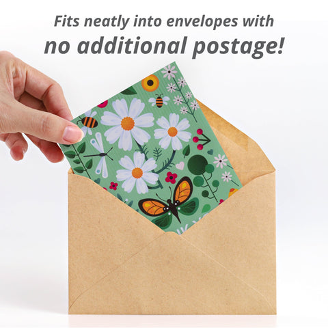 Bentley Seed Co. 25 packets gift box, easy eco gift for gardeners.