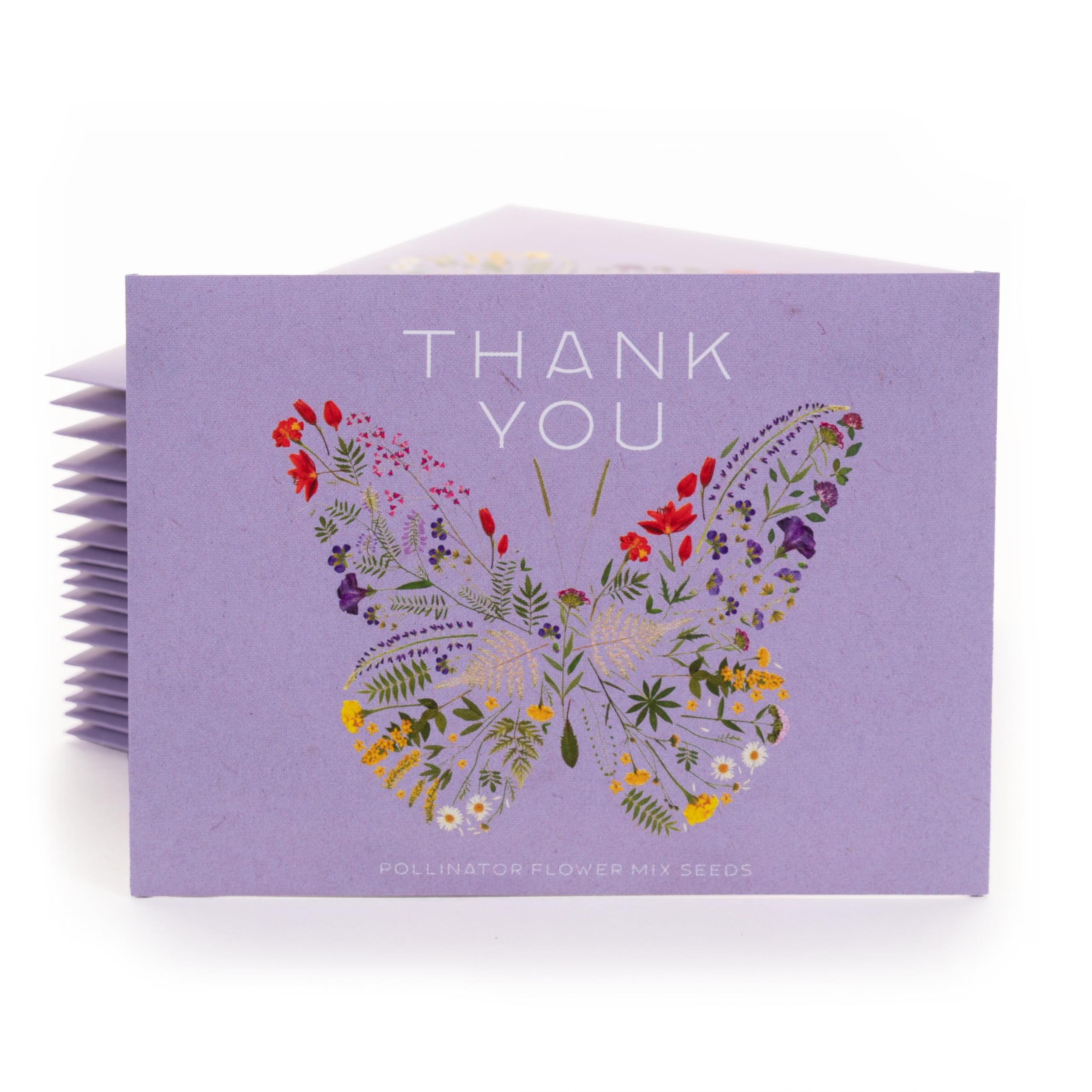 Bentley Seed Co. 25 seed packets shown together for a ready-to-share gift set.