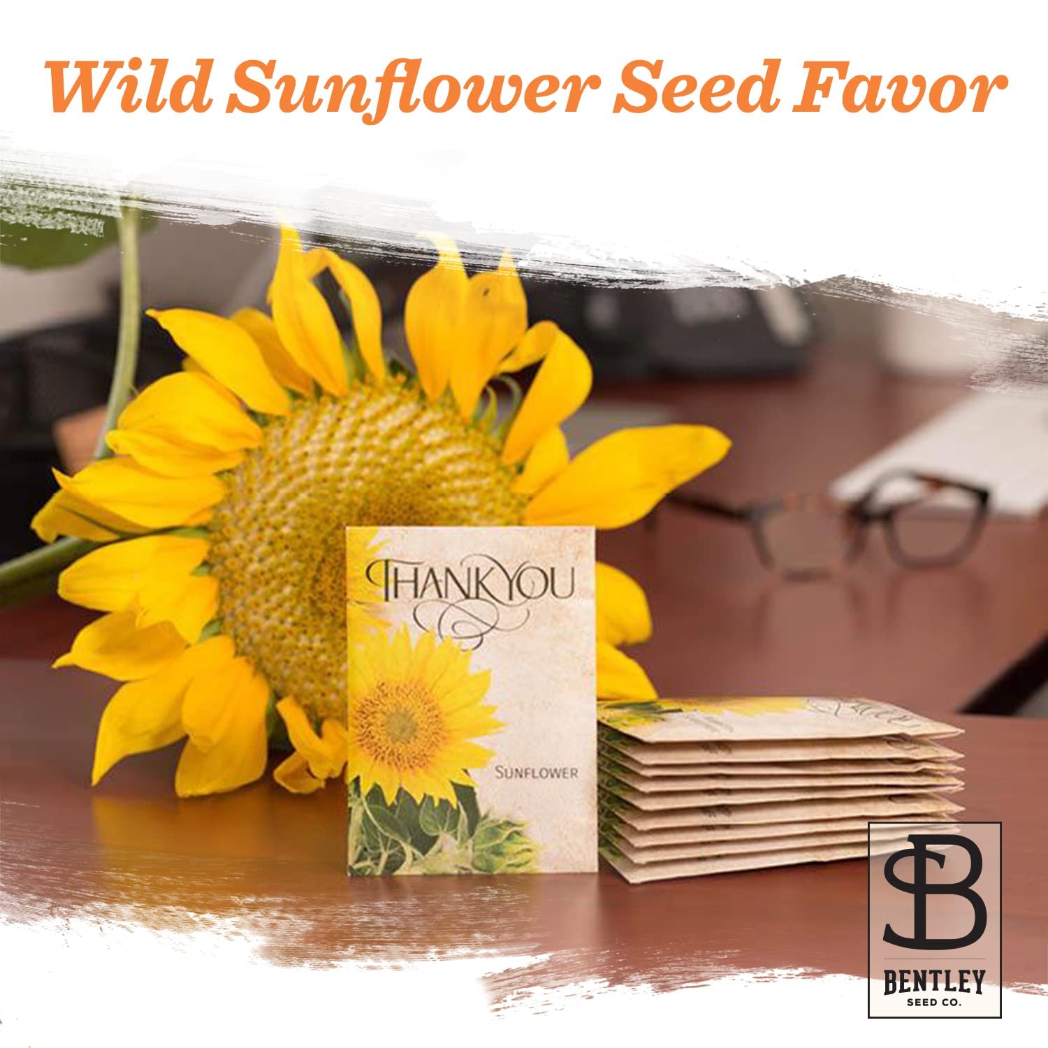 Bentley Seed Co back directions image with simple planting steps for beginners