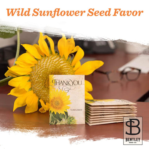 Bentley Seed Co back directions image with simple planting steps for beginners