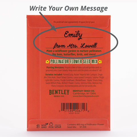 Bentley Seed Co. Bee The Change in-garden scene with bloom coverage