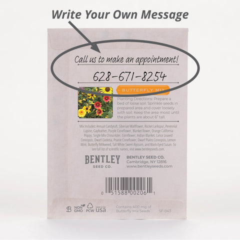 Bentley Seed Co butterfly mix packets in hand for DIY garden favors.
