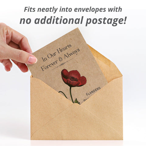 Bentley Seed Co easy-grow poppy seeds ideal for beginner gardeners.