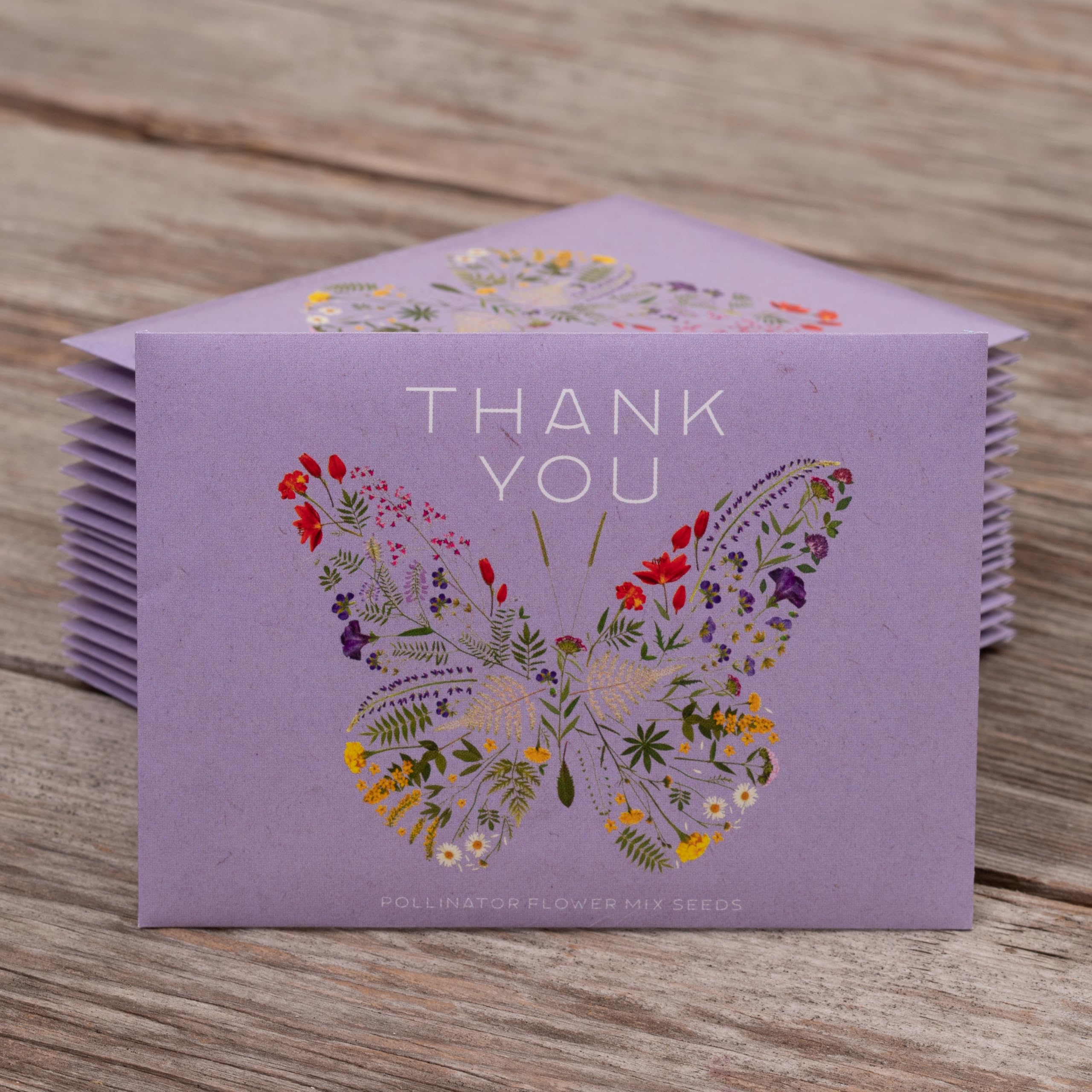 Bentley Seed Co. Eco-friendly packaging highlights sustainable gifting that gardeners appreciate.