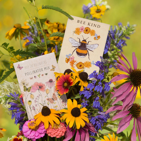 Bentley Seed Co. Eco-friendly packaging highlighting sustainable gifting.