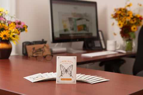 Bentley Seed Co butterfly mix packets displayed for indoor and outdoor gardening.