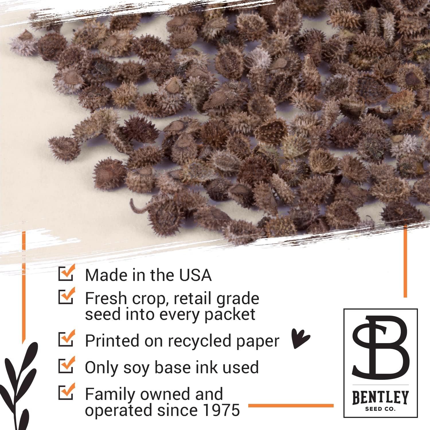 Bentley Seed Co. forget-me-not seeds suitable for indoor gardening and greenhouse growing.