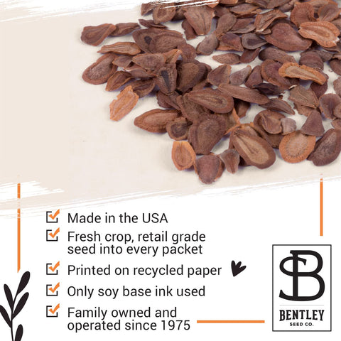 Bentley Seed Co. indoor-outdoor setup for versatile planting options.
