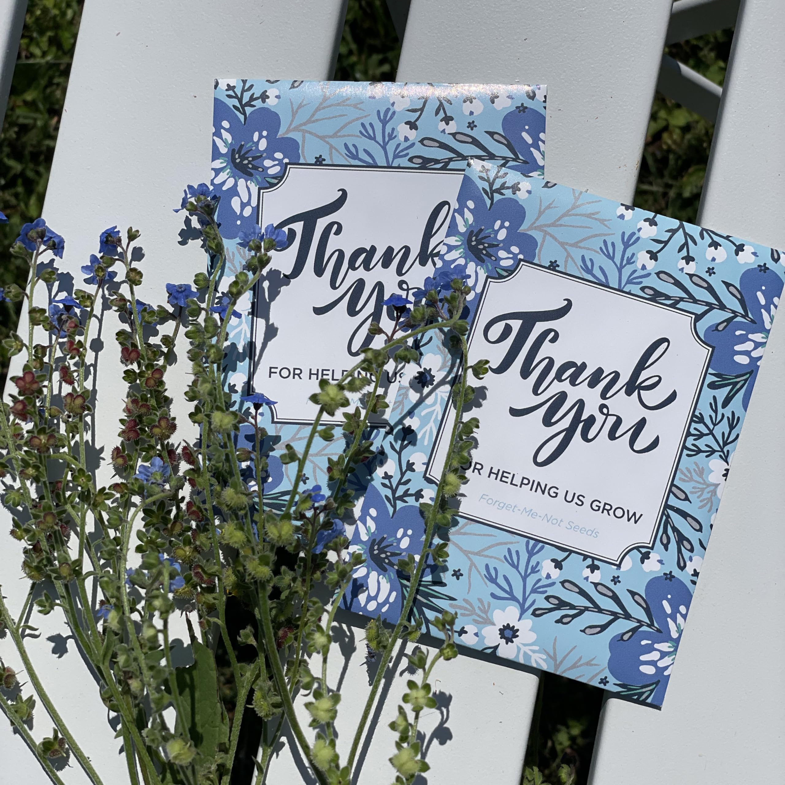 Bentley Seed Co. Memory garden idea image invites memorial planting and lasting tribute