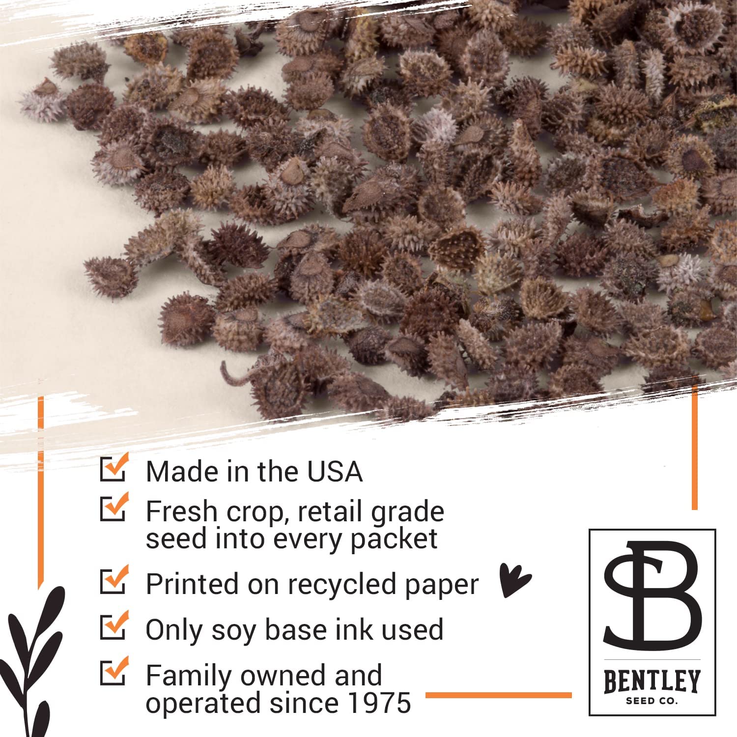 Bentley Seed Co organic non-gmo seed packet image supports natural sustainable home gardening
