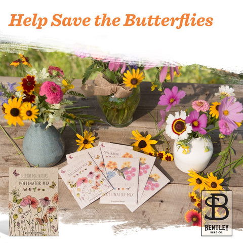 Bentley Seed Co. gift-ready packaging for eco-friendly gifting