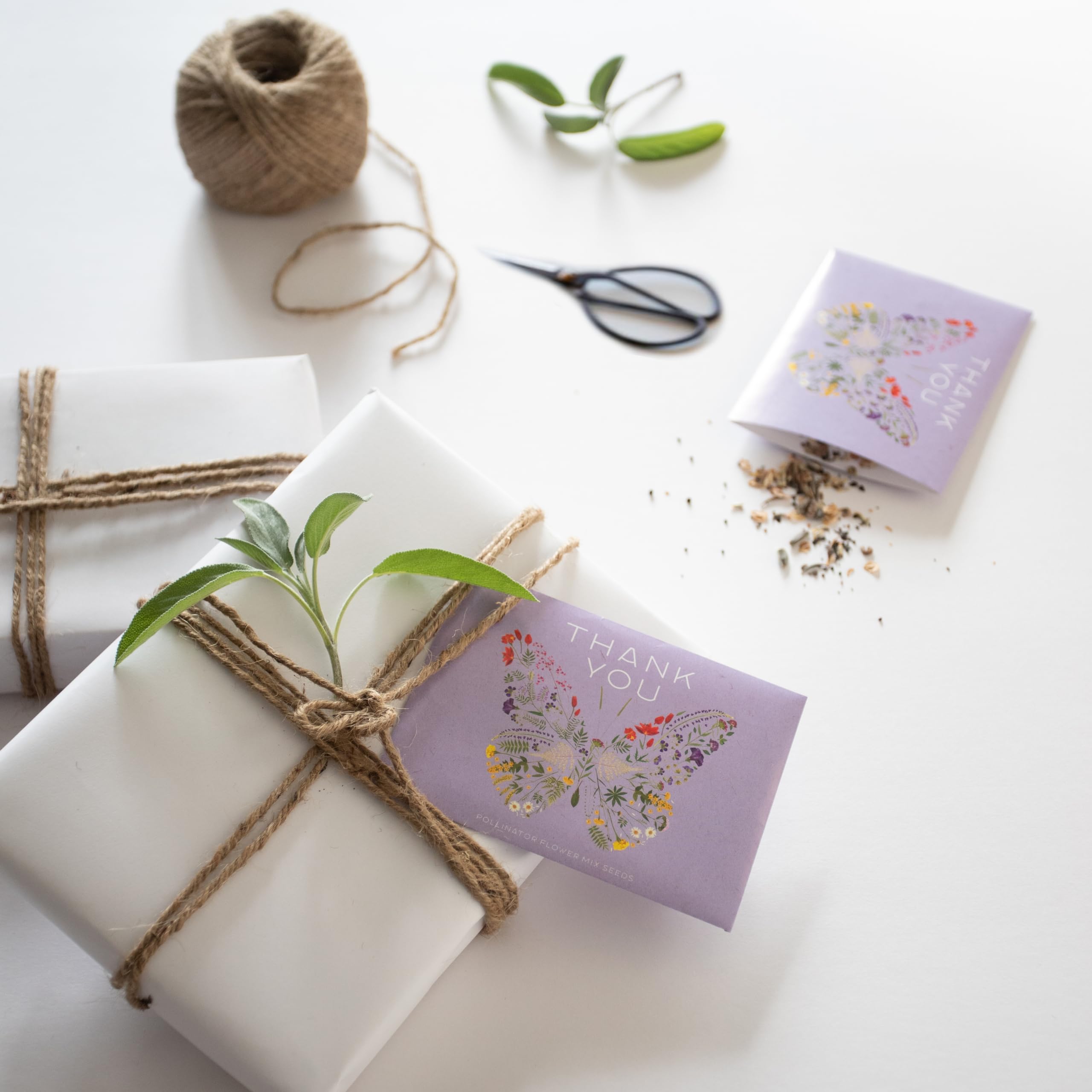 Bentley Seed Co. Packet size measurement emphasizes compact, portable seed packs for easy gifting.