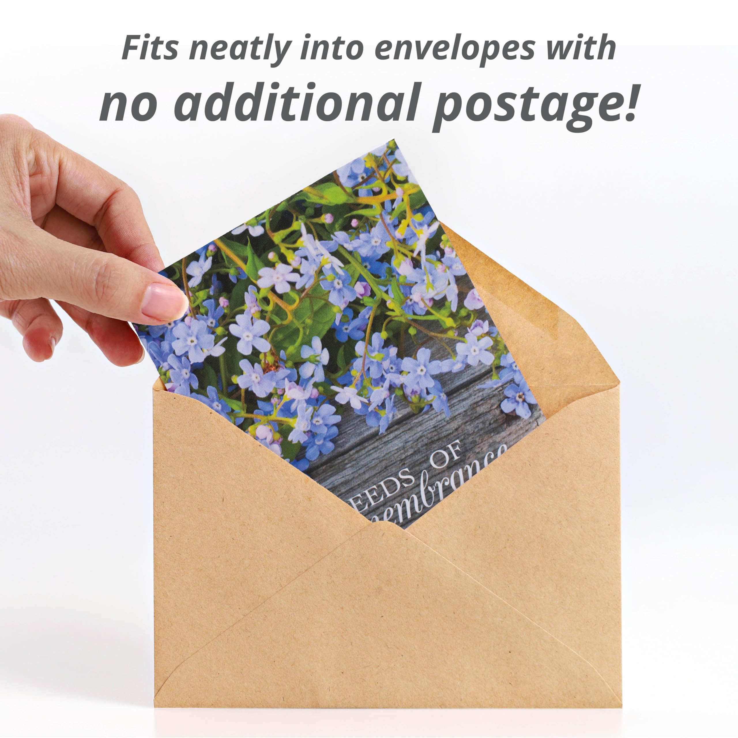 Bentley Seed Co. planting instructions show how to sow forget-me-not seeds in beds or pots.