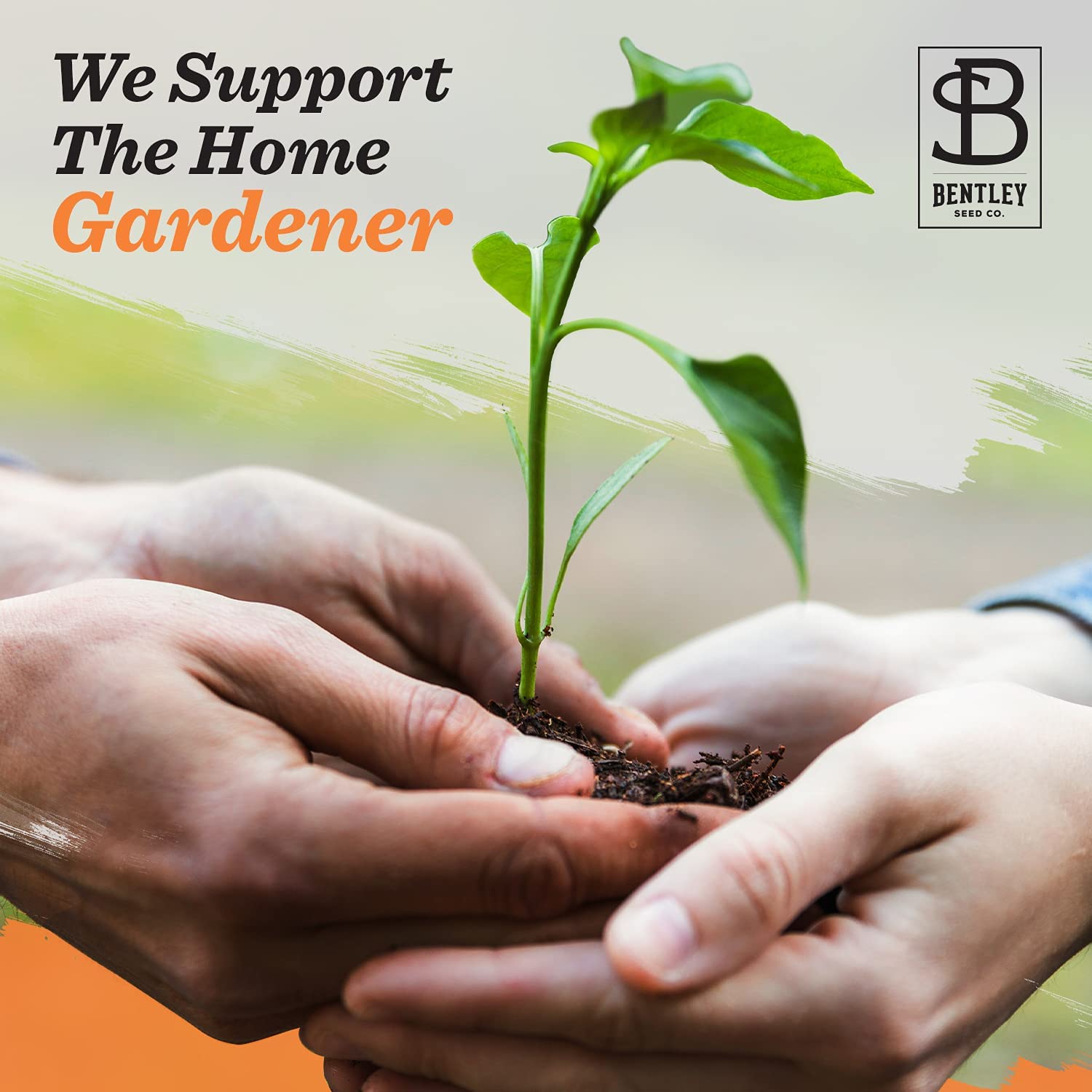 Bentley Seed Co pollinator-friendly garden image appeals to butterflies and hummingbirds