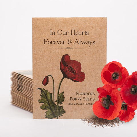 Bentley Seed Co red Flanders poppy seed packet close-up for remembrance gardens.