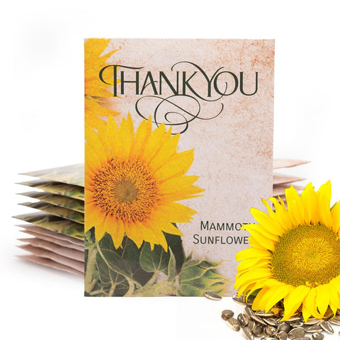 Bentley Seed Co thank you packet sunflowers seeds ready to gift and grow vibrant blooms