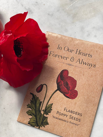 Bentley Seed Co USDA-compliant seed packet for safe gardening.