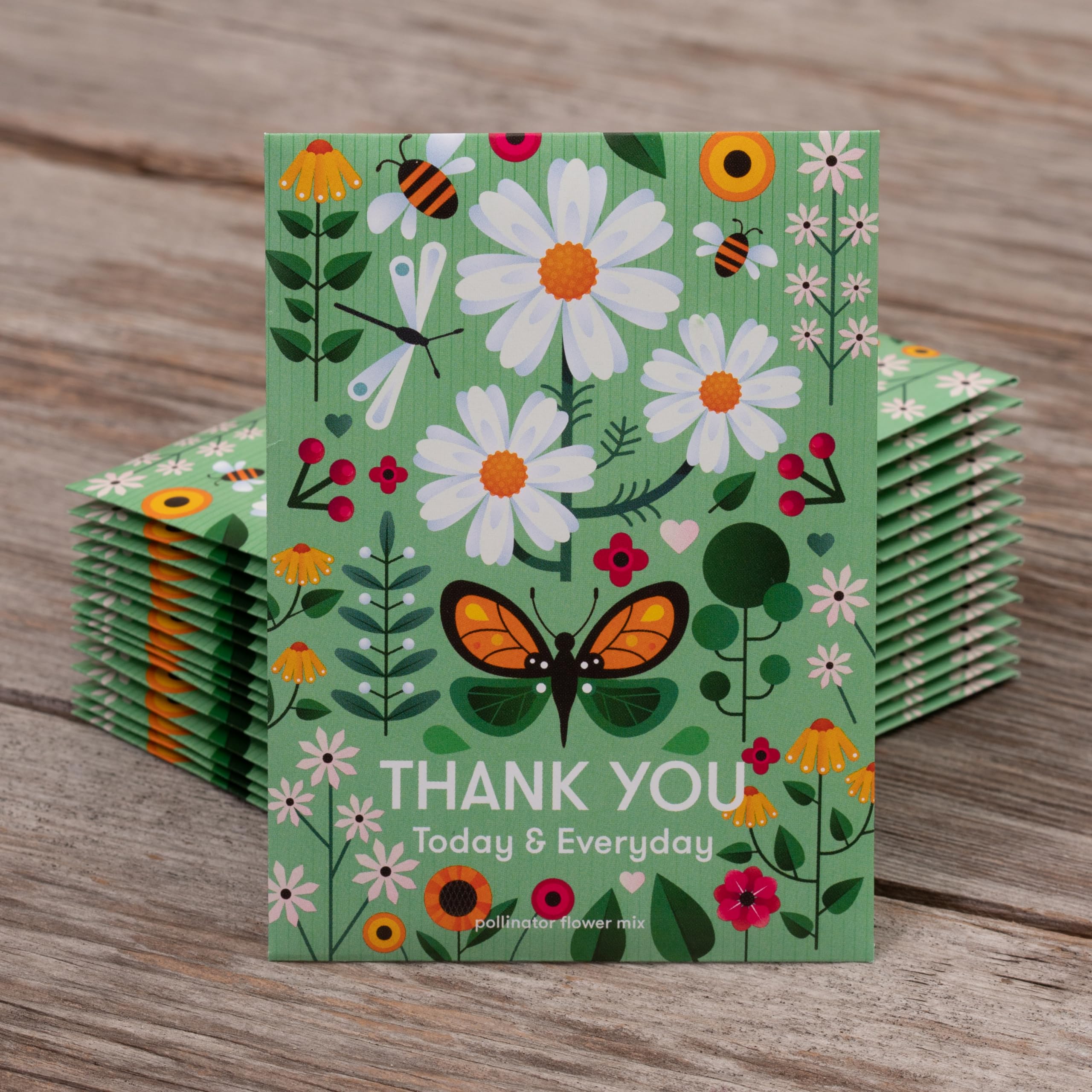 Bentley Seed Co. wildflower variety packets for colorful garden borders.