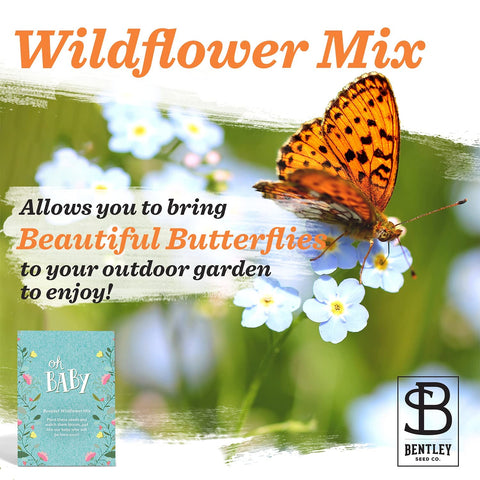 Bentley Seed Co woodland baby shower card in natural theme for eco-friendly gifts