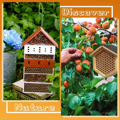 Benvo bee house nesting paper tubes ready to use