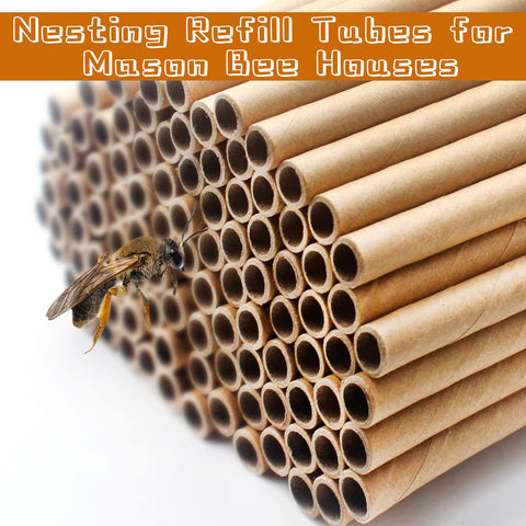 Benvo easy replace bee tubes for quick nest upgrades