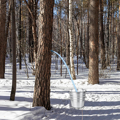 Benwanfee 62ft blue tubing reusable for long-term maple operations.