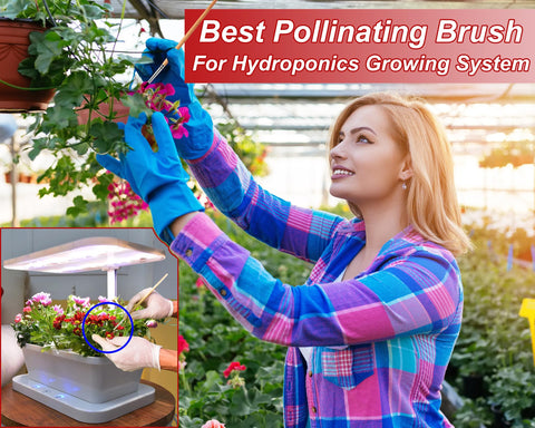 BENYRUAI 12-pack pollinating brushes for shared indoor garden use.