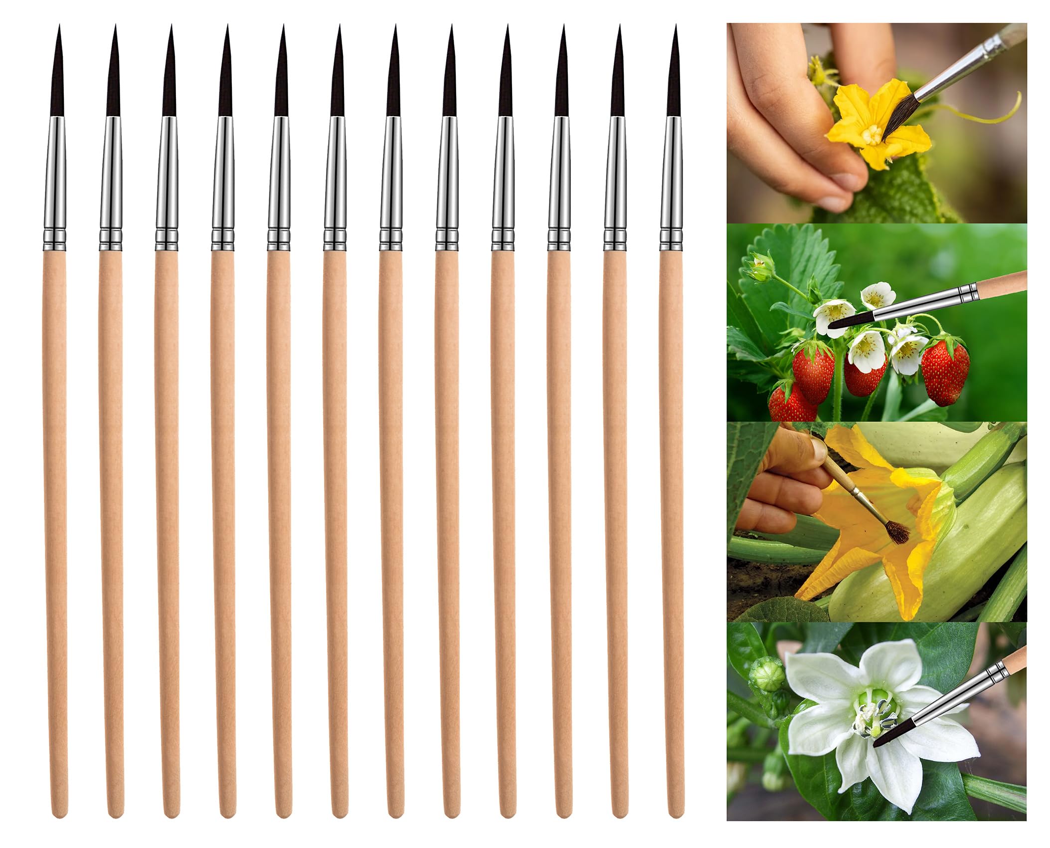 BENYRUAI pollinating brush with wood handle for precise greenhouse pollination.