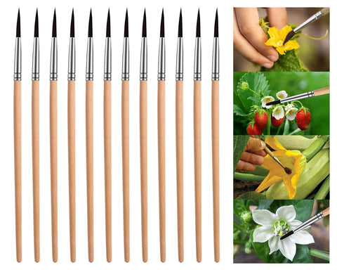 BENYRUAI pollinating brush with wood handle for precise greenhouse pollination.