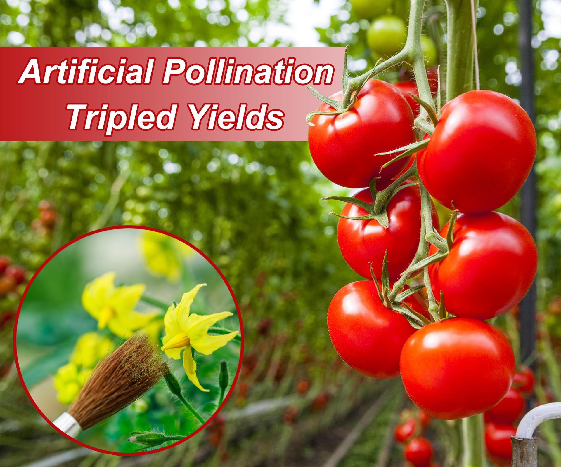 BENYRUAI wooden-handle pollinator for greenhouse vegetables and flowers.