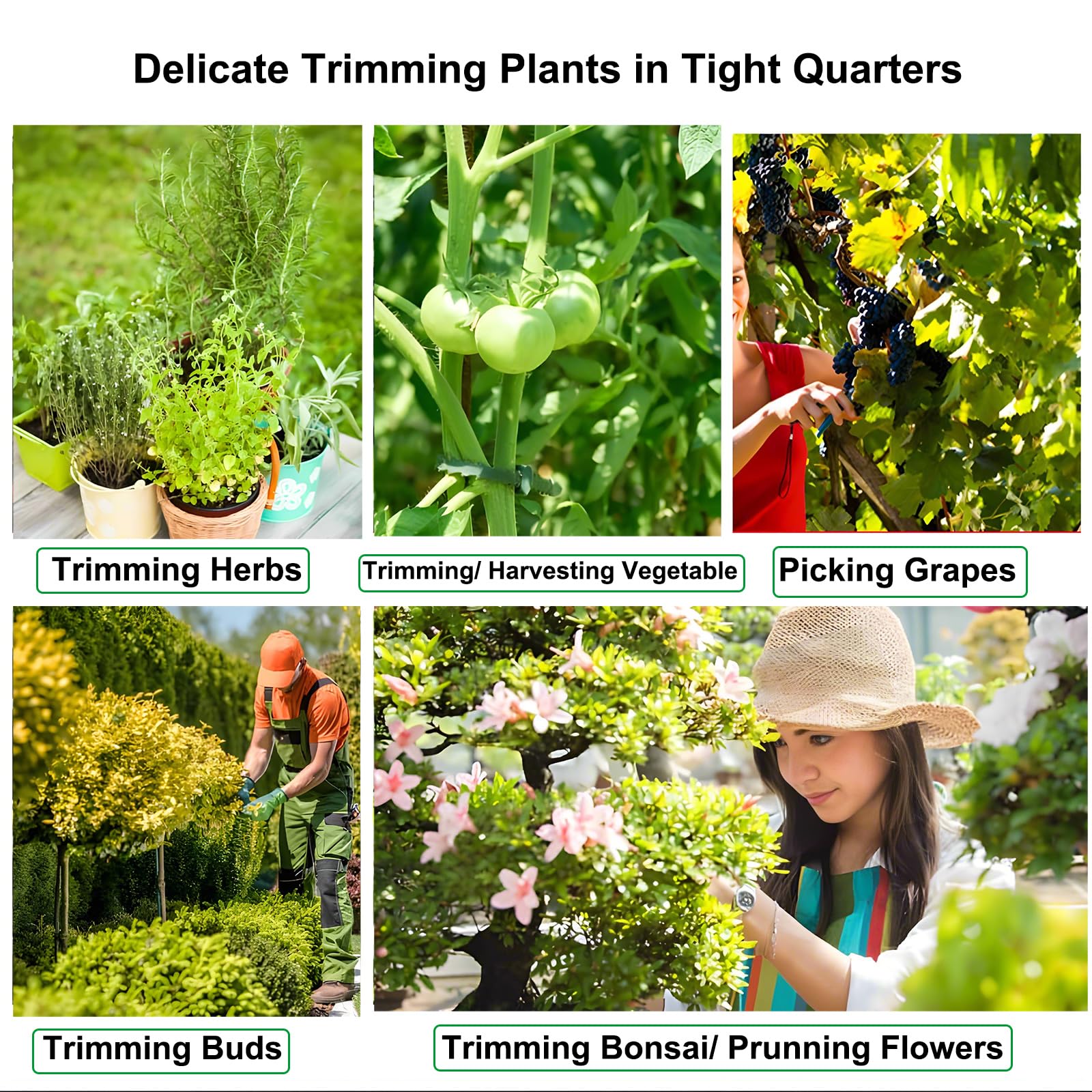 BEoffer compact pruning tool fits neatly in a gardening kit.