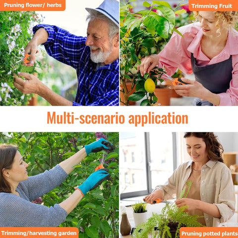 BEoffer pruning shears are ideal for herbs, bonsai, and flowering plants.