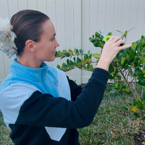 BEoffer pruning shears four-pack kit close-up on display