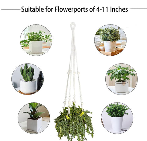Beongfc 2-pack plant hanger in 23.5-inch reach for compact spaces and air flow
