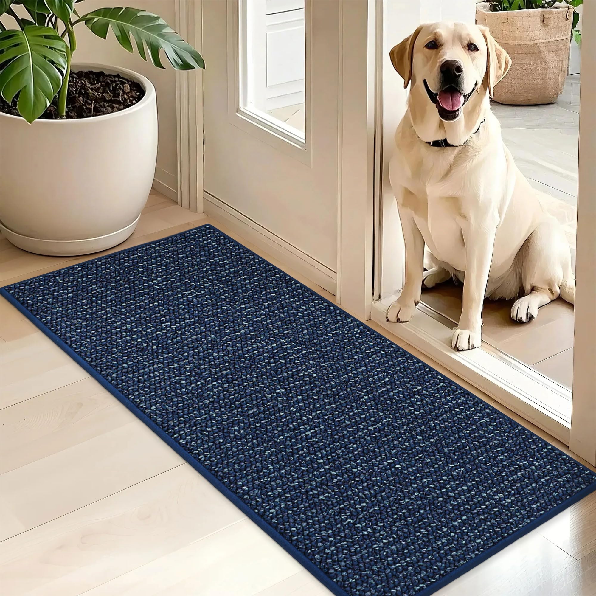 BEQHAUSE dirt trapper mat blue front view for clean entryways