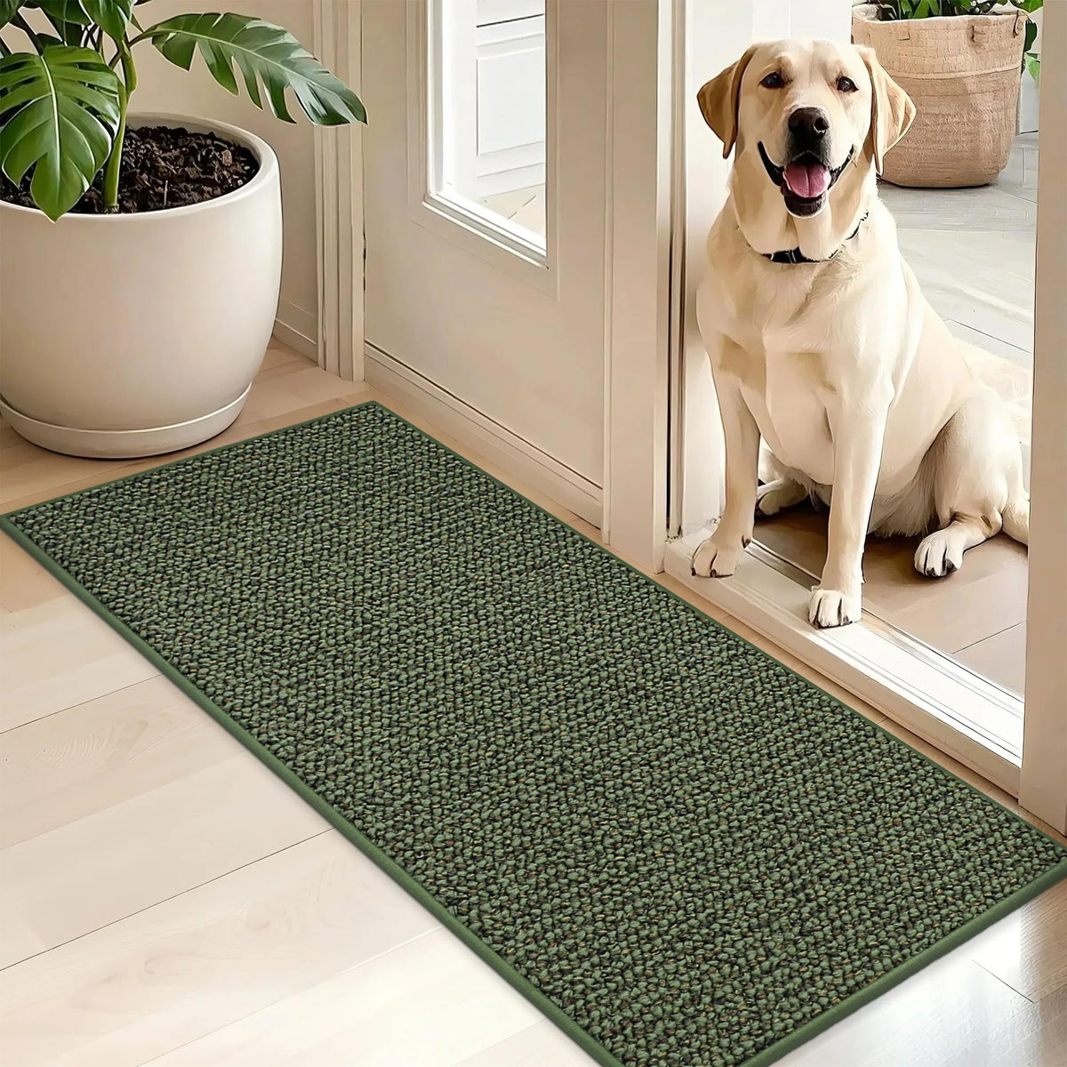BEQHAUSE Dirt Trapper door mat front view with dense fibers capturing dirt